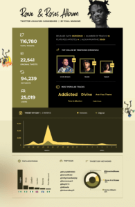 Twitter Dashboard Analysis of the Rave and Roses Album